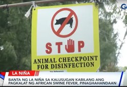 Gov’t prepares for ASF threat ahead of La Niña 