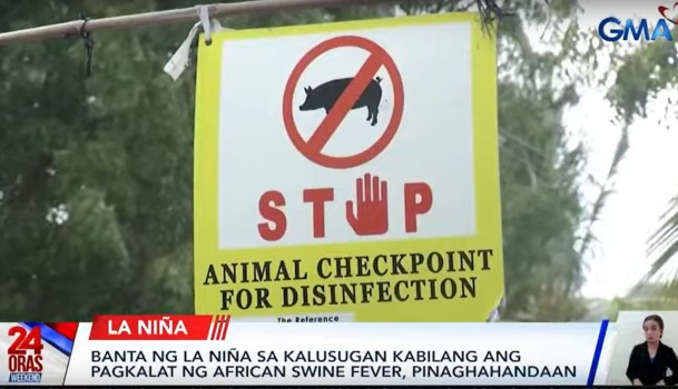 Gov’t prepares for ASF threat ahead of La Niña 